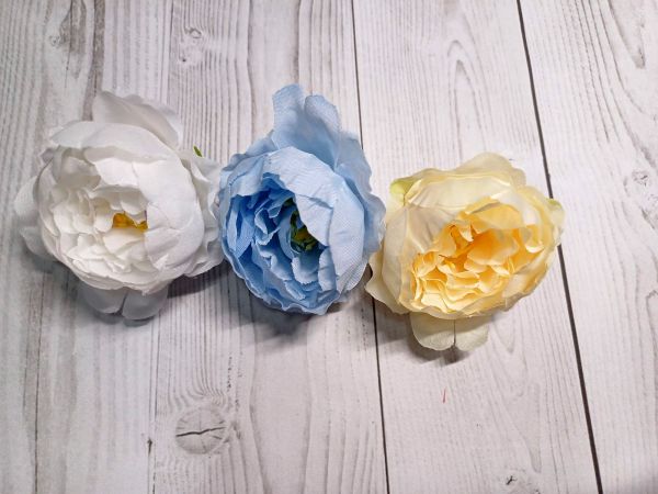 Півонія біла. Діаметр 6 см